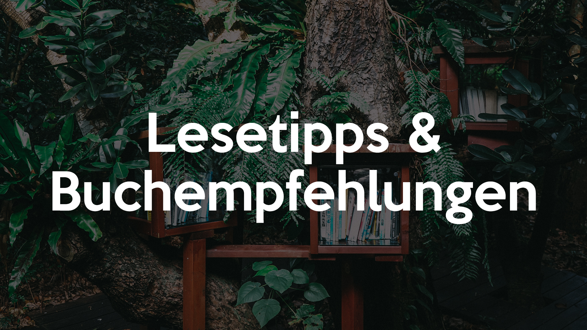 Lesetipps & Buchempfehlungen für ein glückliches Leben